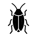 Extermination de Coquerelle